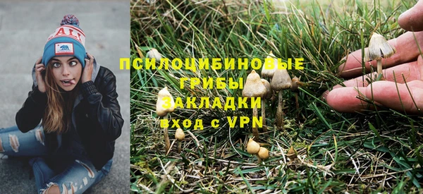 тгк Лагань