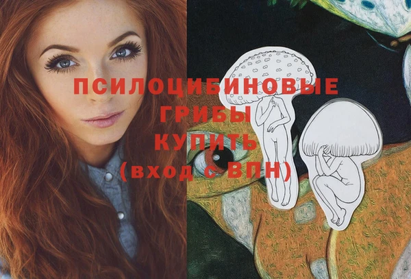 тгк Лагань
